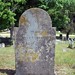 Nancy Carpenter Photo 8