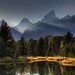 Reed Miller Photo 15