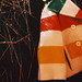 Pamela Coats Photo 15