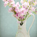 Peggy Sweet Photo 14