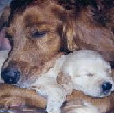 Linda Riley Photo 30