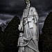 John Gaddy Photo 12