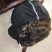 Sally Short Photo 17