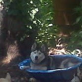 Lois Stevens Photo 17