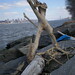 Francis Cline Photo 10