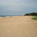 Sandy Long Photo 14