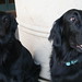 Teresa Mckenzie Photo 10