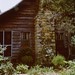Thomas Stapleton Photo 31