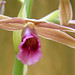 Lan Dinh Photo 17