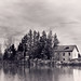 Bruce Mills Photo 11