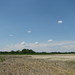 Lee Marsh Photo 28