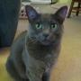 Debbie Matheny Photo 20