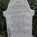 John Ross Photo 6