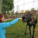 Michael Slott Photo 14