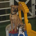 Roscoe Newton Photo 5