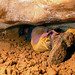 Janice Keys Photo 26