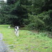 Fred Stuart Photo 38