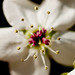 Heather Houk Photo 14