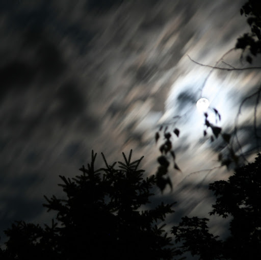 Phil Bacon Photo 10