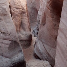 Steve Demers Photo 35