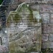 Thomas Fleming Photo 28