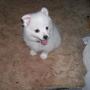 Renee Dillard Photo 14