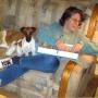 Ann Powers Photo 9