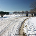 Jason Mendez Photo 12