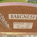 Carol Dougherty Photo 36