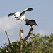 Patricia Stork Photo 7