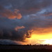 Sandy Storm Photo 21