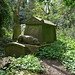 William Sayers Photo 9