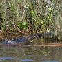 Gordon Simpson Photo 14