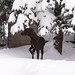Judy Short Photo 22