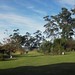 Carolyn Sommers Photo 10