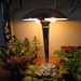 Debbie Spring Photo 13