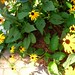 Susan Metter Photo 7