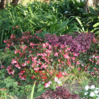 Anita Harding Photo 11