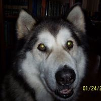 Mark Eichelberger Photo 17