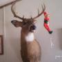 Henry Saunders Photo 23