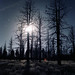 Jeffrey Moon Photo 22