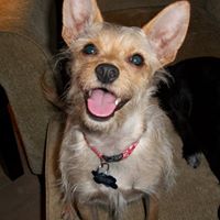 Frankie Wagner Photo 7