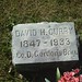 David Curry Photo 13
