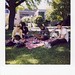 Greg Parkins Photo 9