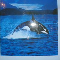 Janice Fitzpatrick Photo 20