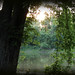 Martha Snelling Photo 7