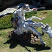 Stephen Merry Photo 3