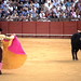 Yolanda Sevilla Photo 13