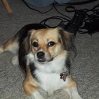 John Mcalpin Photo 9