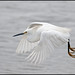 Edwin Heinz Photo 4